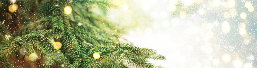 Season’s Greetings from BC PSLS!