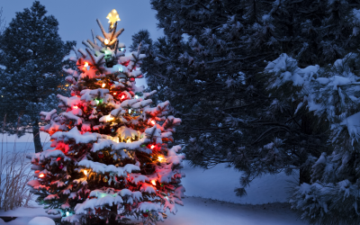 Happy Holidays from BCPSLS Central Office!