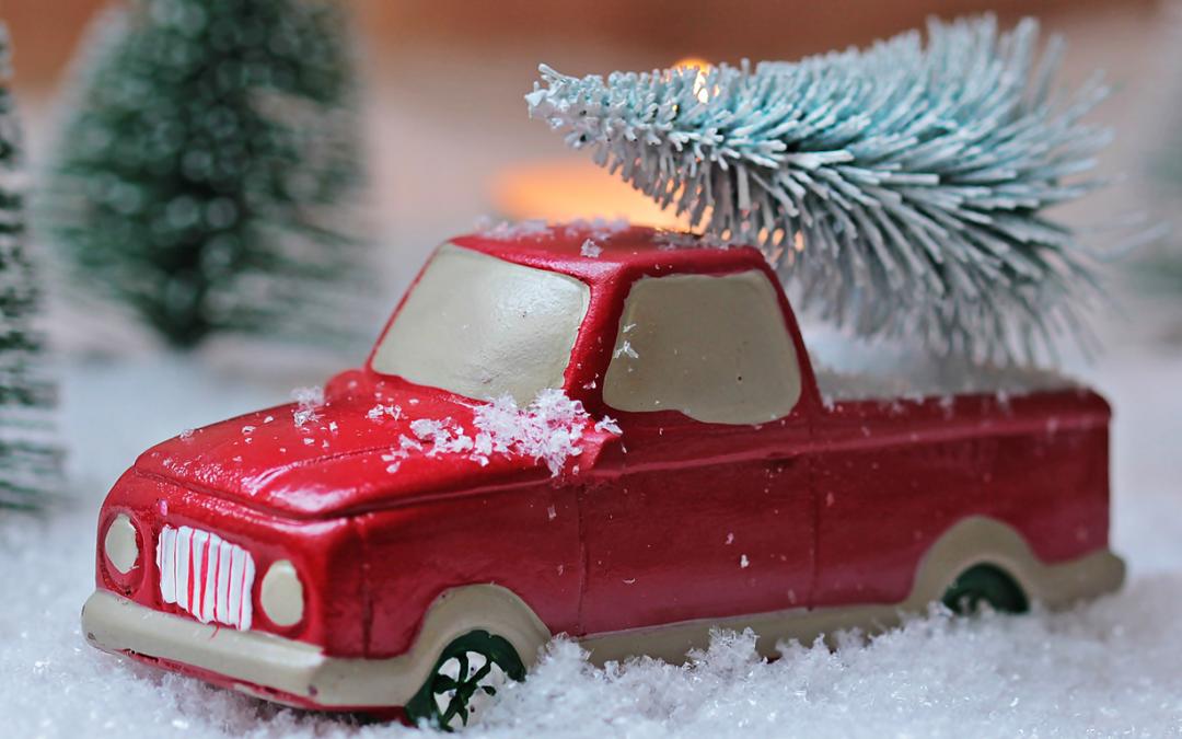 Highlights and holiday wishes from BCPSLS Central Office